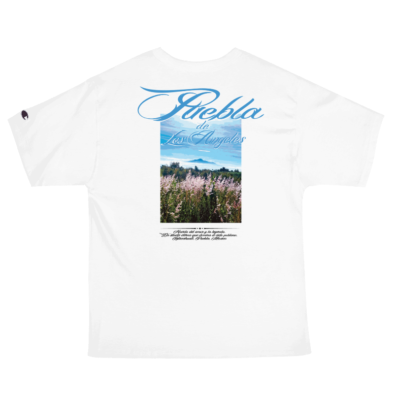Camiseta champion oversized ,manga corta