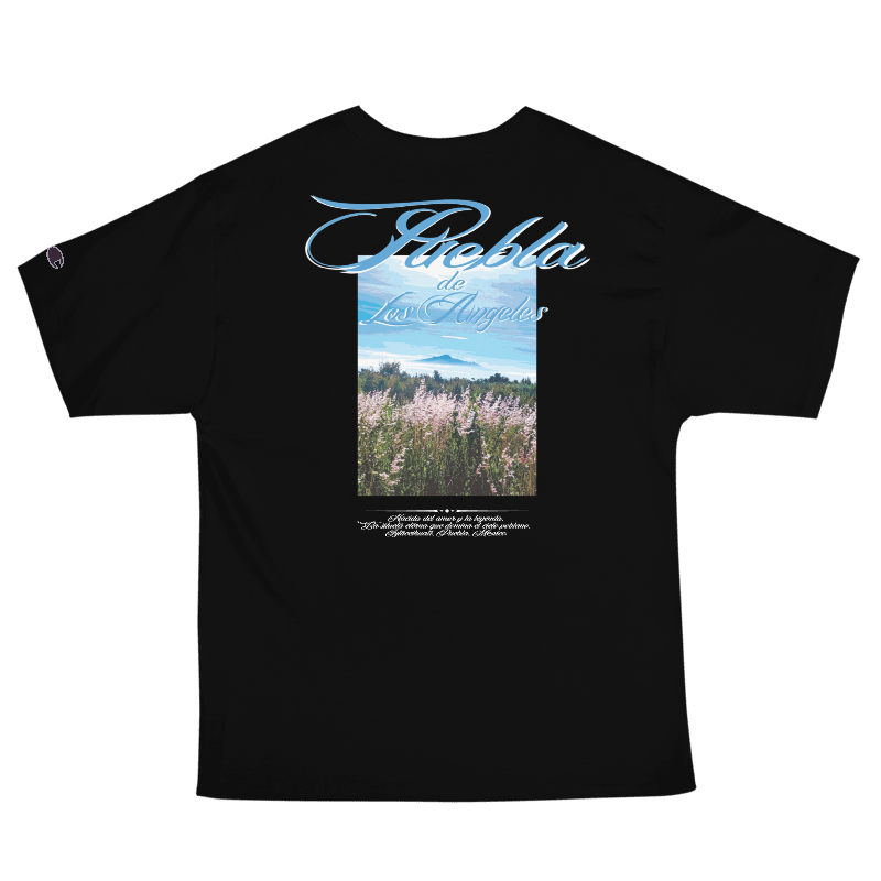 Camiseta champion oversized black