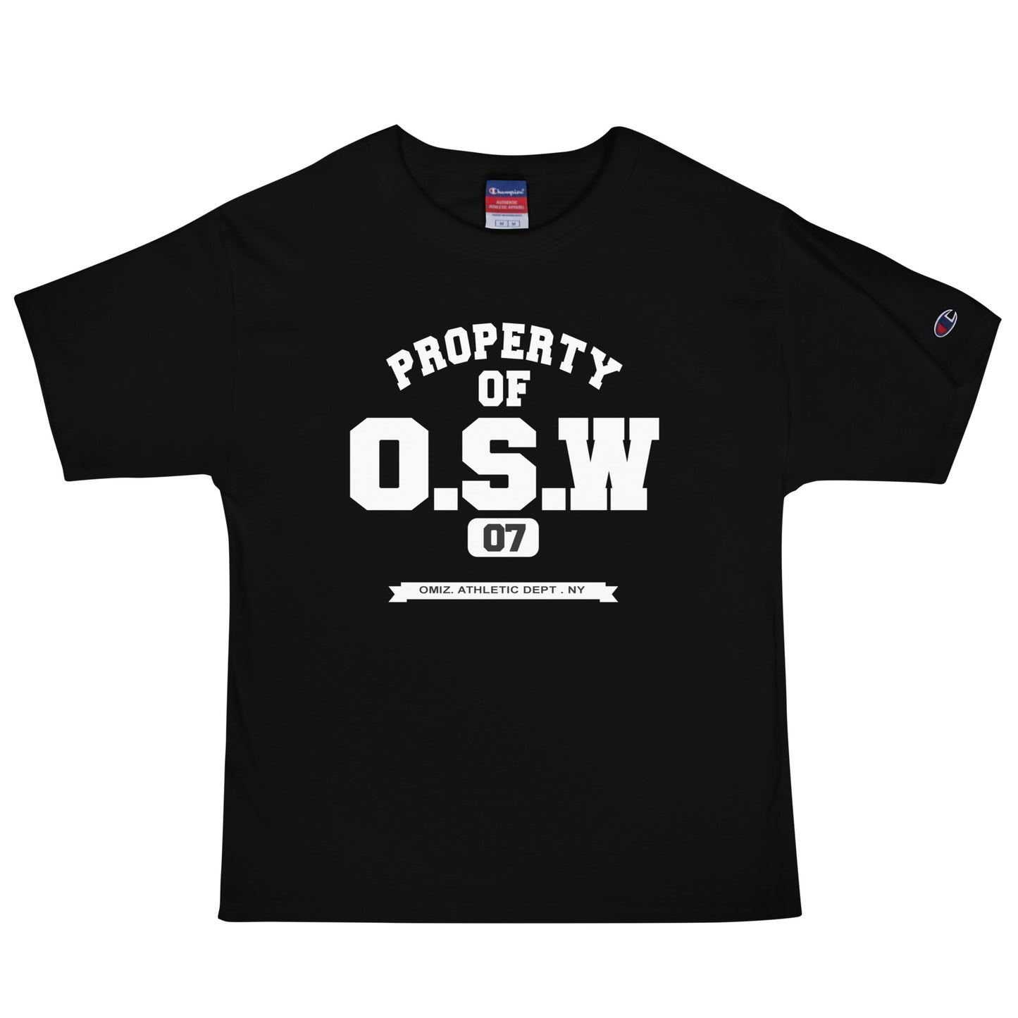 Camiseta Oversize Champion Unisex “PROPERTY”